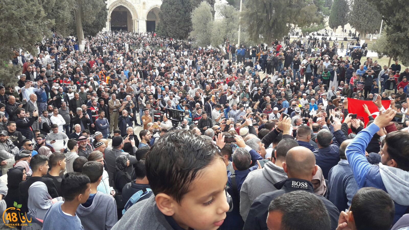 aqsa masirate (6).jpg